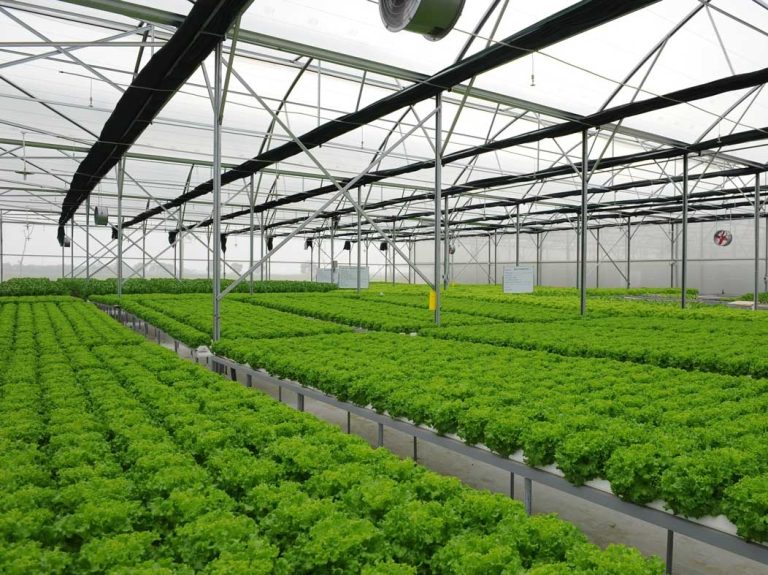 skema smart hydroponic